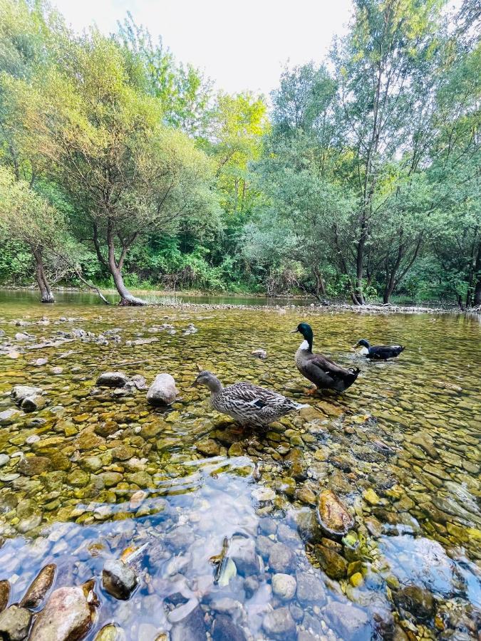 Skala Luxury Rooms Cetinje Eksteriør billede